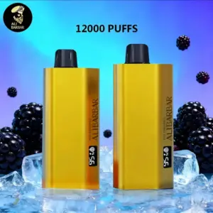 Alibarbar TEQ 12000 Puffs-Blackberry Ice - Blackberry Ice
