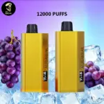 Alibarbar TEQ 12000 Puffs-Grape Ice - Grape Ice