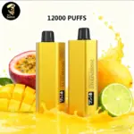 Alibarbar TEQ 12000 Puffs-Passionfruit Mango Lime - Passionfruit Mango Lime