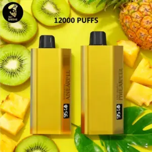 Alibarbar TEQ 12000 Puffs-Kiwi Pineapple - Kiwi Pineapple
