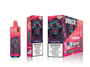 Bangbox 12000 Puffs Disposable Vape – Multiple Flavor - Image 7