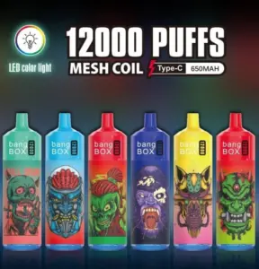 Bangbox 12000 Puffs Disposable Vape – Multiple Flavor - black dragon ice