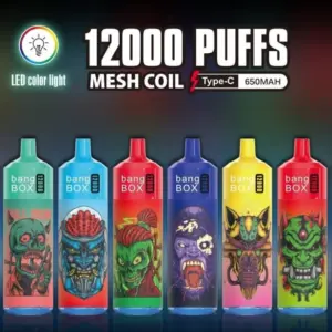 Bangbox 12000 Puffs Disposable Vape – Multiple Flavor - black dragon ice