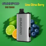 Gunnpod EVO 15k - 20 pack Multiple flavors - Lime Citrus Berry