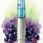 OKGO 6500 Puffs BlackCurrant-10 Pack - BlackCurrant