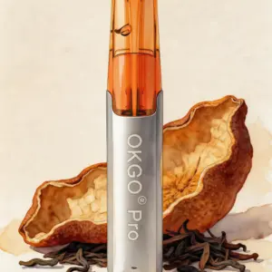 OKGO 6500 Puffs ChenPi Noir-10 Pack - ChenPi Noir