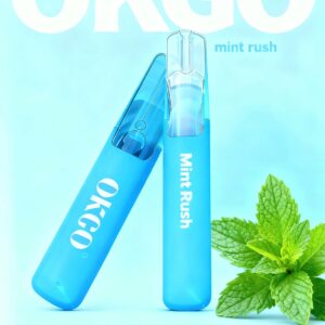 OKGO 6500 Puffs Mint rush -10 Pack - Mint rush