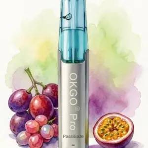 OKGO 6500 Puffs PassiGaze-10 Pack - PassiGaze