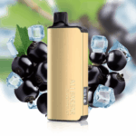 ALIBARBAR INGOT 9000 Puffs DTL Version - 10 Packs - Blackberry Ice