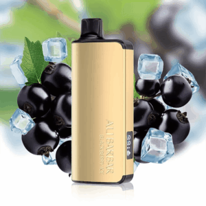 ALIBARBAR INGOT 9000 Puffs DTL Version - 10 Packs - Blackberry Ice
