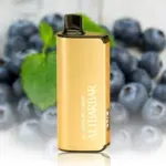 ALIBARBAR INGOT Blueberry Mint 9000 Puffs 3 pack on sale(Ship from oversea) - Blueberry Mint