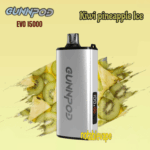 Gunnpod EVO 15k - 20 pack Multiple flavors - Kiwi Pineapple Ice